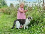 Een jong kind in een roze jurkje bekijkt paarse bloemen in een groene, wilde tuin, met rood rond de mond van het snoepen van wat er in het landschap groeit, terwijl een zwart-witte kat ervoor staat.